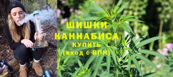 метадон Няндома