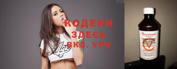 метадон Няндома
